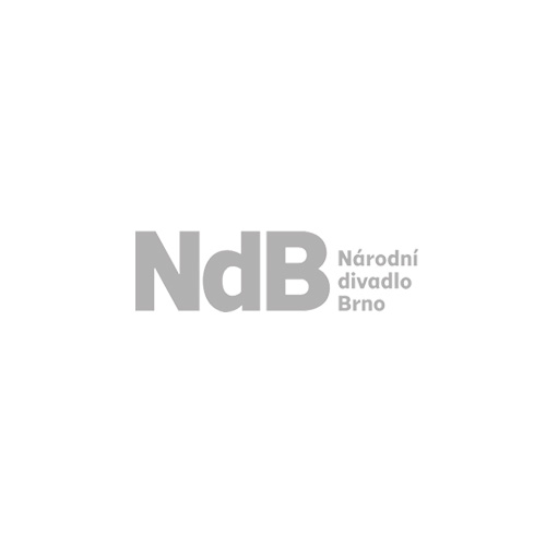 Petlach reference Národní divadlo Brno